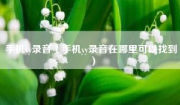 手机yy录音（手机yy录音在哪里可以找到）