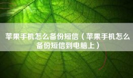 苹果手机怎么备份短信（苹果手机怎么备份短信到电脑上）