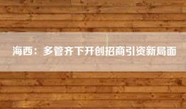 海西：多管齐下开创招商引资新局面