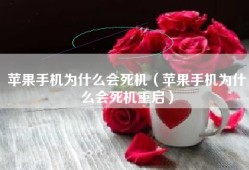 苹果手机为什么会死机（苹果手机为什么会死机重启）