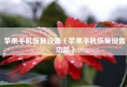 苹果手机恢复设置（苹果手机恢复设置功能）