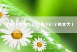 手机字体大（怎样将手机字体变大）