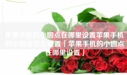 苹果手机的小圆点在哪里设置苹果手机的小圆点怎么设置「苹果手机的小圆点在哪里设置」