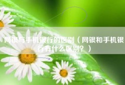 网银与手机银行的区别（网银和手机银行有什么区别？）