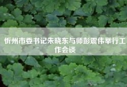 忻州市委书记朱晓东与师彭震伟举行工作会谈