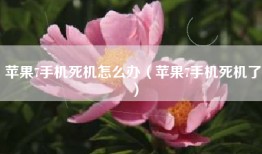 苹果7手机死机怎么办（苹果7手机死机了）