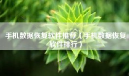 手机数据恢复软件推荐（手机数据恢复软件排行）