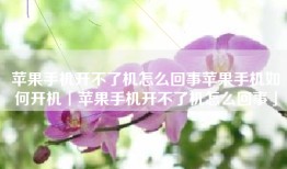 苹果手机开不了机怎么回事苹果手机如何开机「苹果手机开不了机怎么回事」