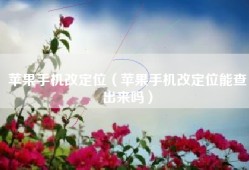 苹果手机改定位（苹果手机改定位能查出来吗）