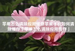 苹果怎么清除应用缓存苹果手机如何清除缓存「苹果怎么清除应用缓存」