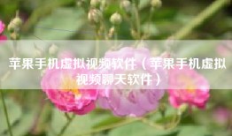 苹果手机虚拟视频软件（苹果手机虚拟视频聊天软件）