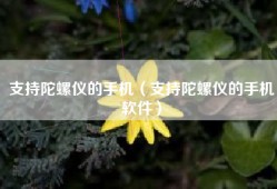 支持陀螺仪的手机（支持陀螺仪的手机软件）