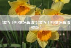 绿色手机壁纸高清（绿色手机壁纸高清壁纸）