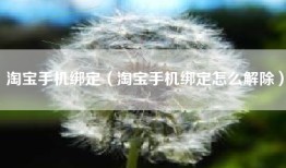 淘宝手机绑定（淘宝手机绑定怎么解除）