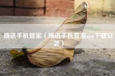 腾讯手机管家（腾讯手机管家app下载安装）