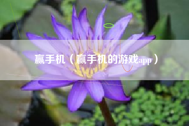 赢手机（赢手机的游戏app）