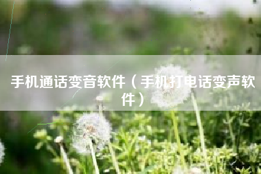 手机通话变音软件（手机打电话变声软件）