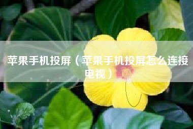 苹果手机投屏（苹果手机投屏怎么连接电视）