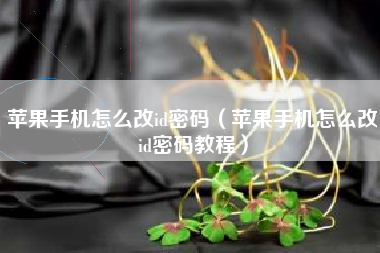 苹果手机怎么改id密码（苹果手机怎么改id密码教程）