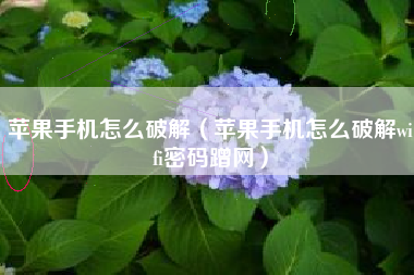 苹果手机怎么破解（苹果手机怎么破解wifi密码蹭网）