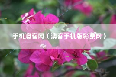 手机澳客网（澳客手机版彩票网）