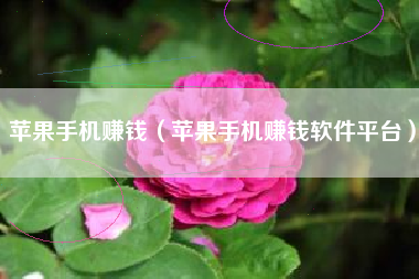 苹果手机赚钱（苹果手机赚钱软件平台）