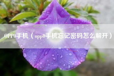 OPP0手机（opp0手机忘记密码怎么解开）