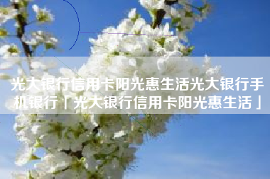 光大银行信用卡阳光惠生活光大银行手机银行「光大银行信用卡阳光惠生活」