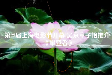 第22届上海电影节开幕 吴京章子怡推介《攀登者》